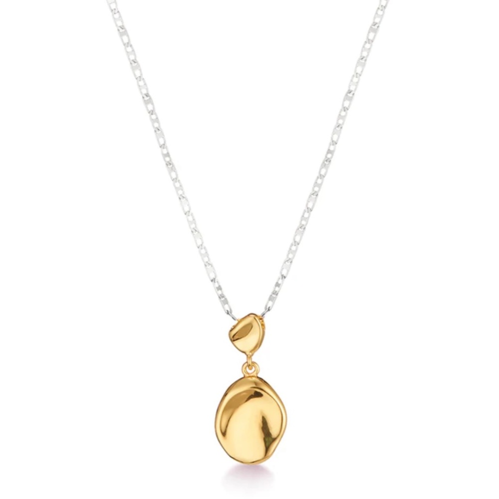 NWT- Jenny Bird Small Thea Pendant Two-Tone Necklace